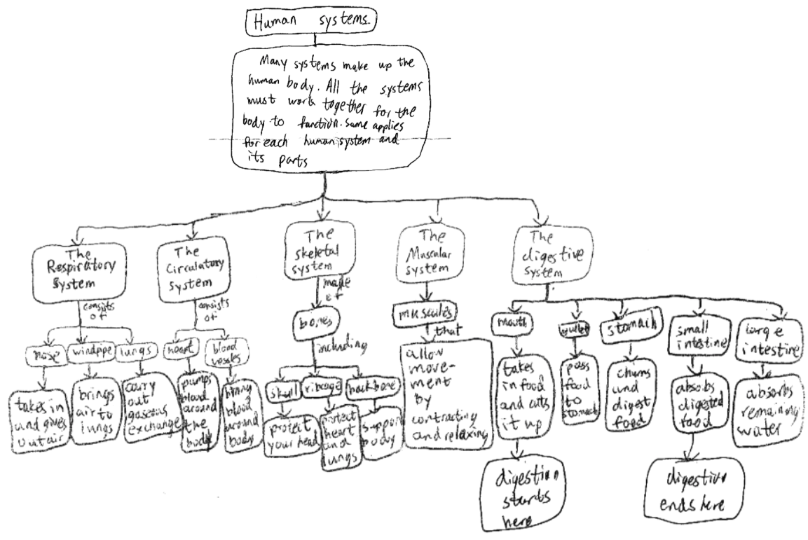 human system mind map